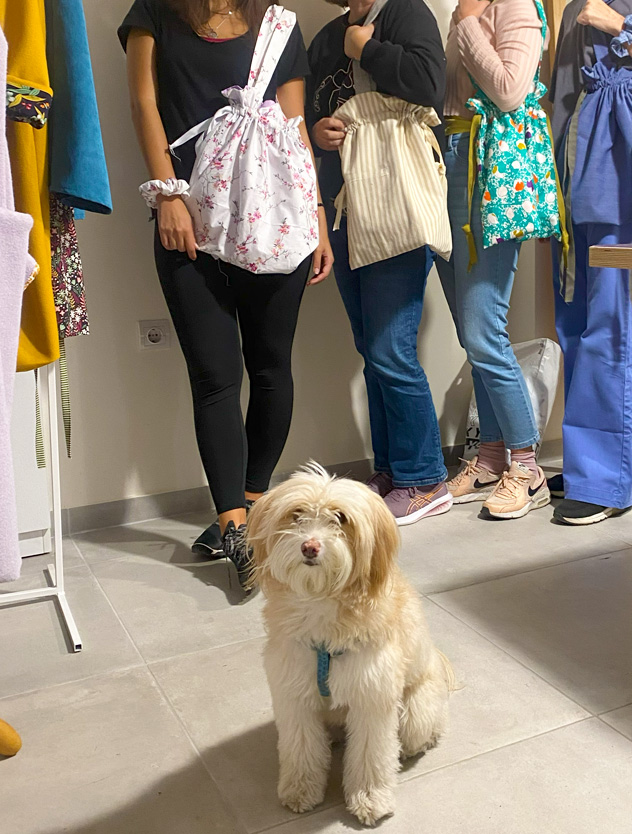 ΣΕΜΙΝΑΡΙΑ-12